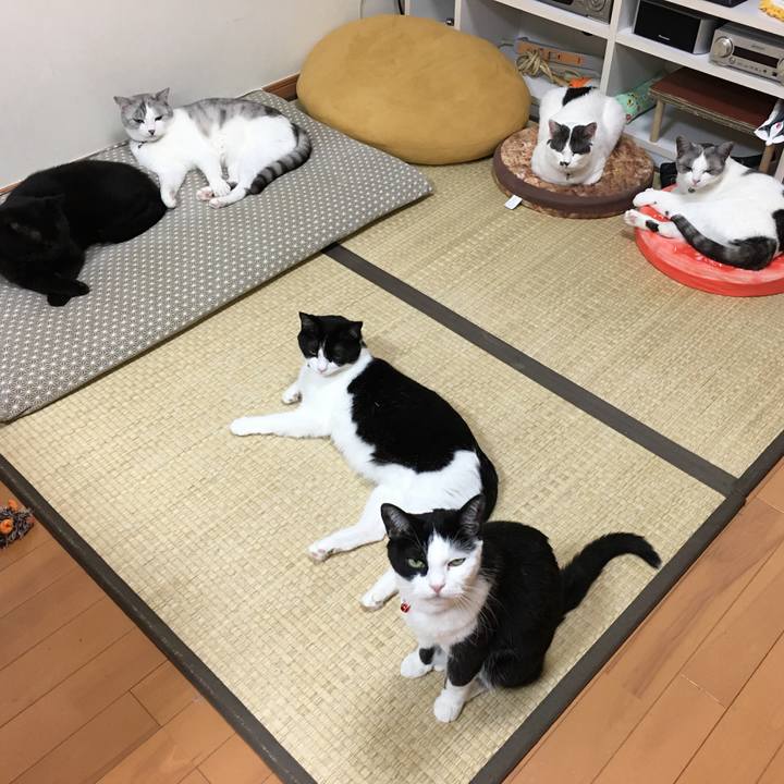 09da2553 4c48 432b 8023 1c2438f77bdd 1600943161053