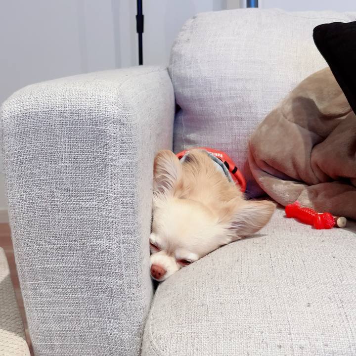 09da3d24 604b 47c7 96f0 322feda34452 1746718735465