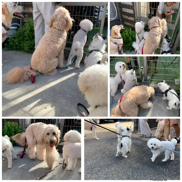 09da46cc 6aa0 4f42 903a a2756c916e2d 1727307600435