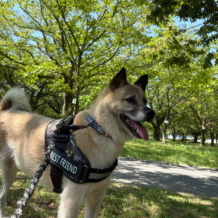 09da7053 249b 48cf 8040 a370390fb11c 1755428879423