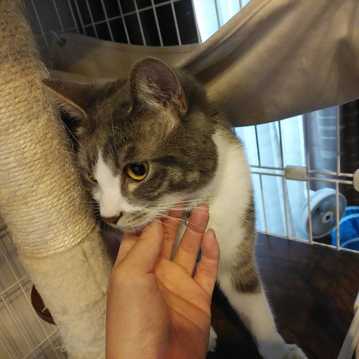 09da913a 17b9 4263 bb61 af6212ffa152 1583105919666