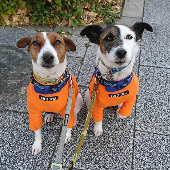 09dad055 66af 4cd1 a13f 987496badbcc 1611183354904