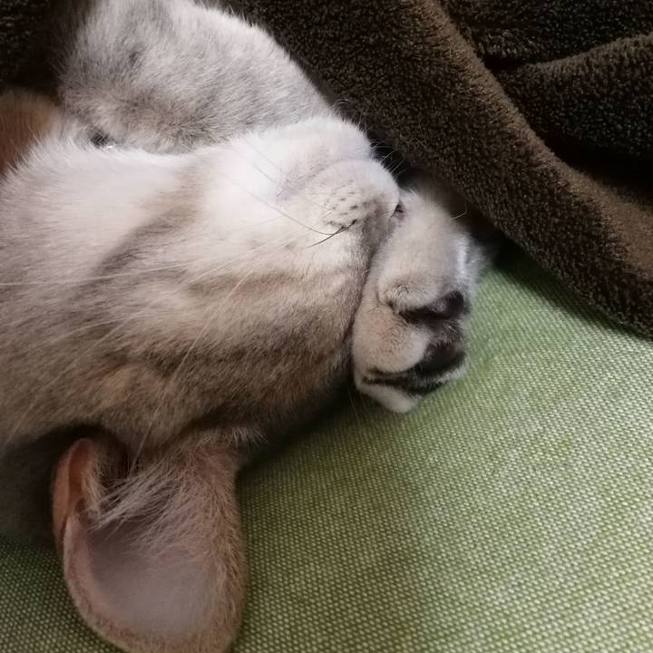 09dae72b 5b69 4bf8 93f2 38fa309f2184 1515838120273