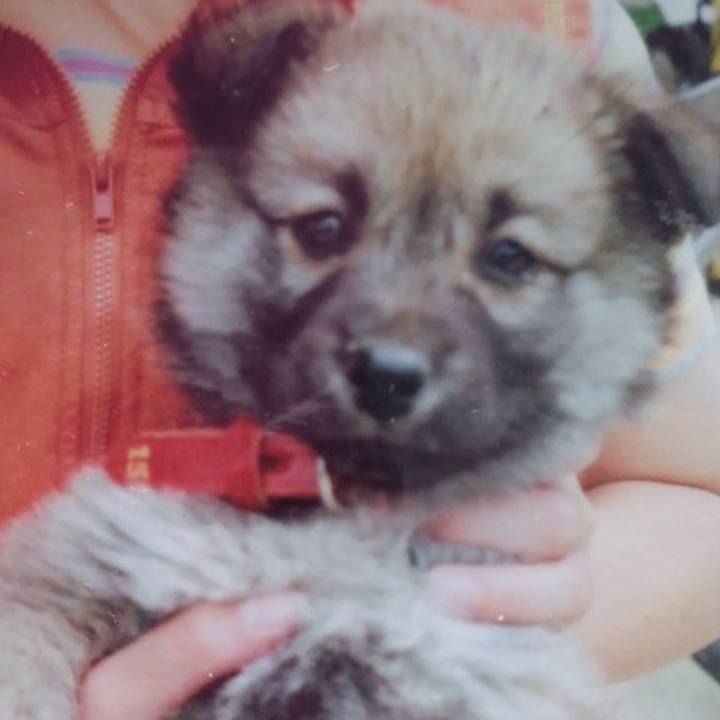 09db1a32 1baa 42d8 856d ea8311f15db1 1613859054903