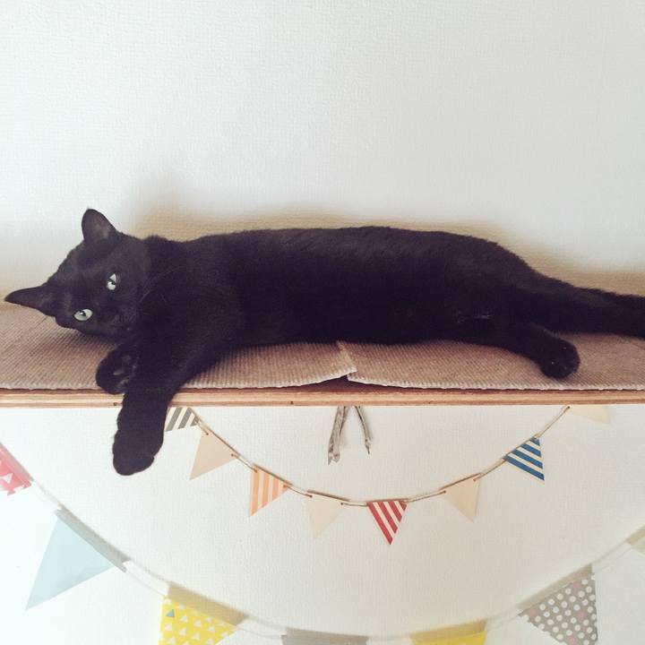 09db1cde 9997 4594 917d a7a576095627 1531527570717