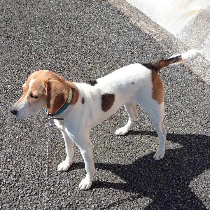 09db4399 94fa 440a 8b4e 2cd944b197d0 1617090624016