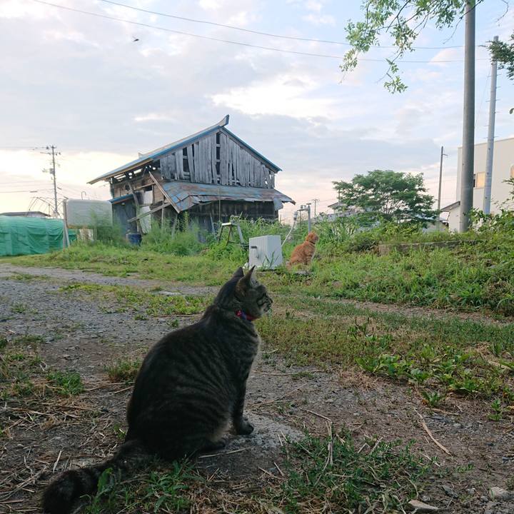 09db7708 3eed 437f b0f3 908feccd9042 1656968555785