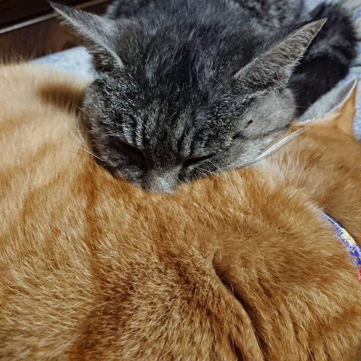 09db93a3 6fba 489a 9d06 3bc00cd786a5 1579266241476