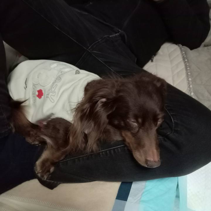 09dbbc9d 0286 4276 976d bea762f1187c 1767650712650