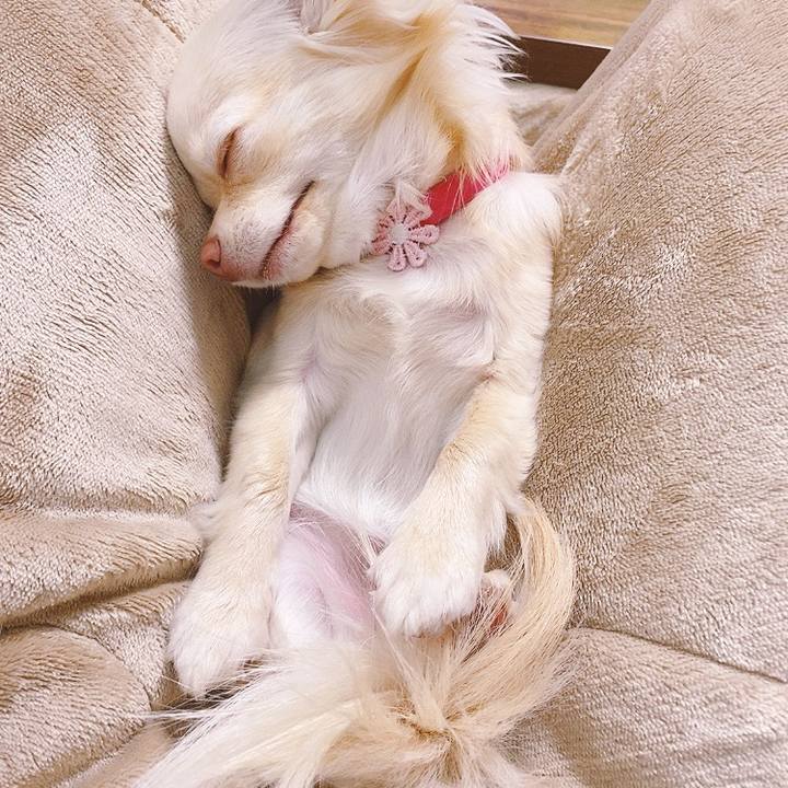 09dbc57d 5795 43a3 8690 95ae3b83fe83 1616306200376