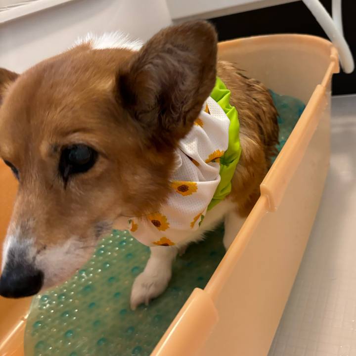 09dbd2d3 e882 4ef1 a586 99ad38e57c43 1754738839919