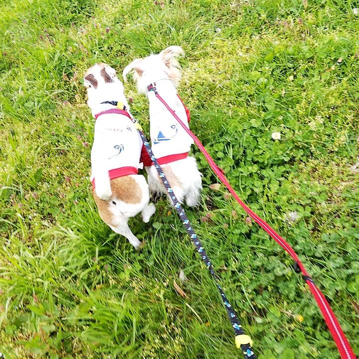 09dbd473 55ed 4620 9047 804e02903695 1586933662488