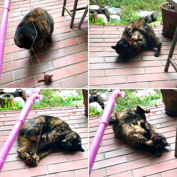 09dbef45 9e54 470e 8ec2 da3afa751bce 1510645739615