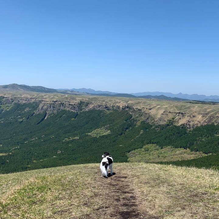 09dc0602 6868 414d 9e57 90825f11898a 1618916506098