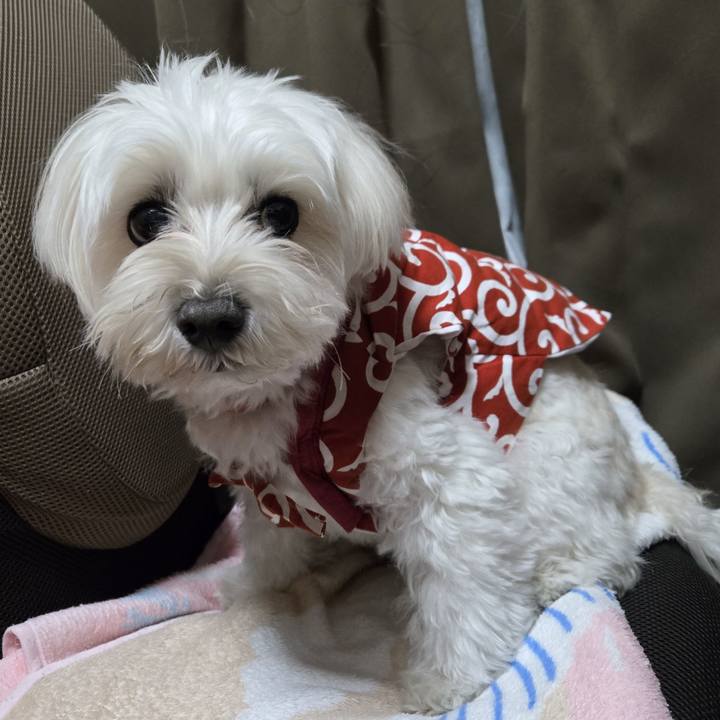 09dc31f5 2ae1 4e3d 8224 d2a2d5751d80 1764763593303