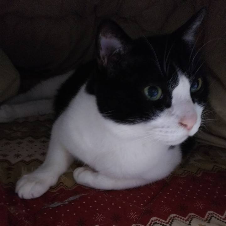 09dc58af 198f 49f4 8cd7 f4ccf96f5946 1550181170280