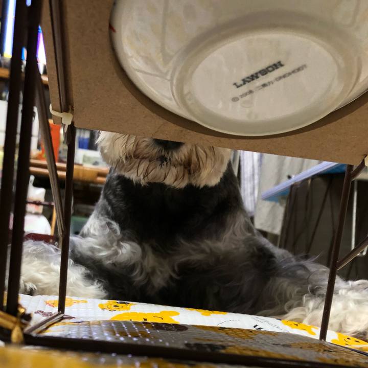 09dc734d a717 4e61 a520 ae689481e40e 1633347515879