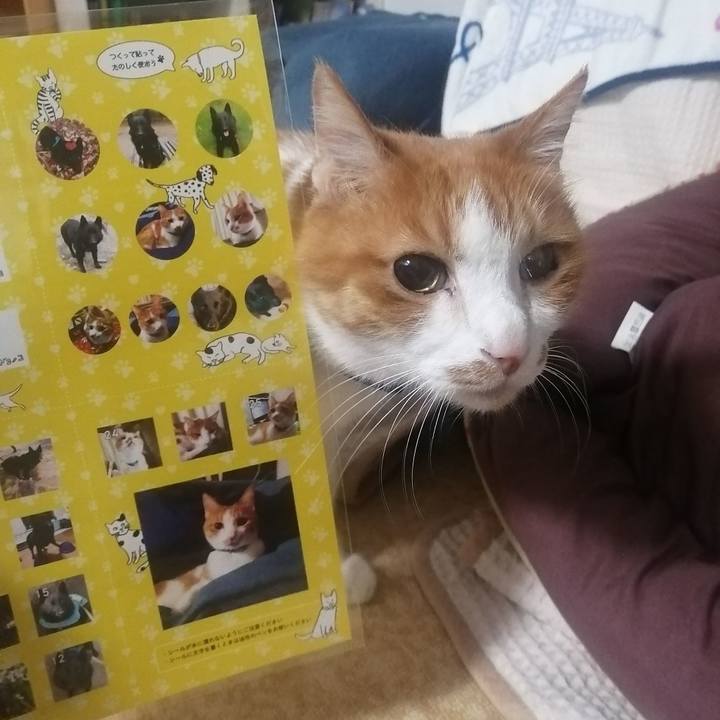 09dc77c5 52fc 41d0 a8cd b2cb68c71555 1653050285156