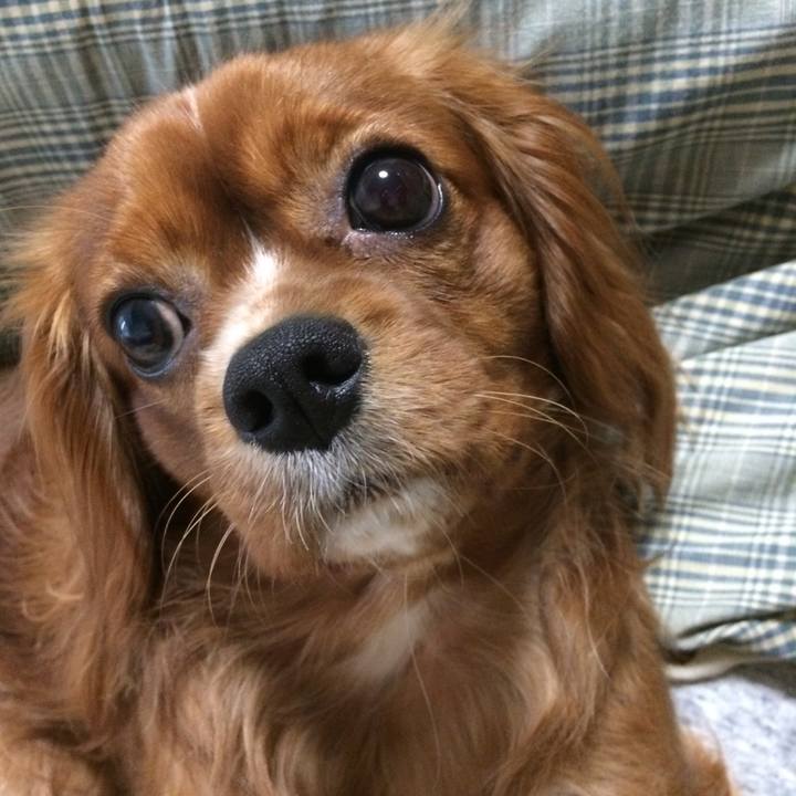 09dc7dae de39 4368 b543 c1d6af7f4003 1516226896512