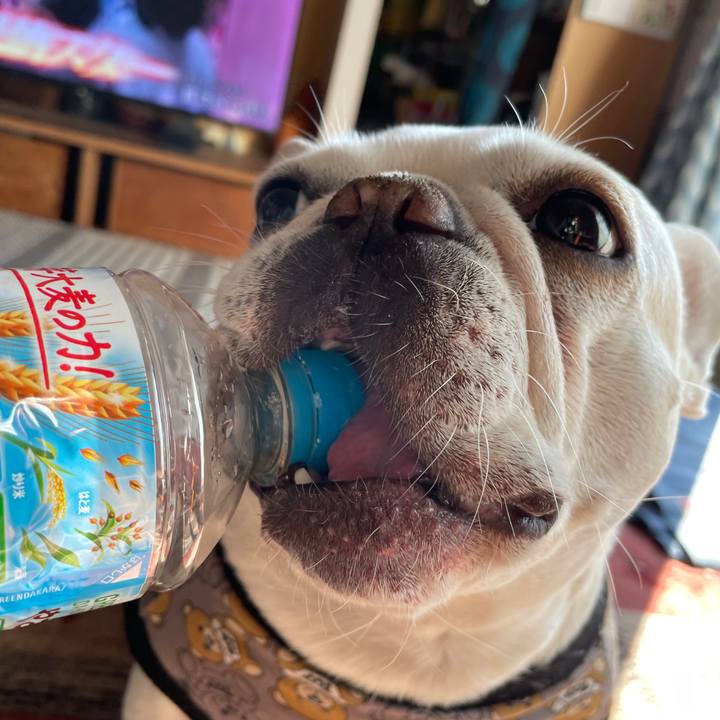 09dc91b7 b351 4a0c a5e0 fddc62313f66 1767523388522