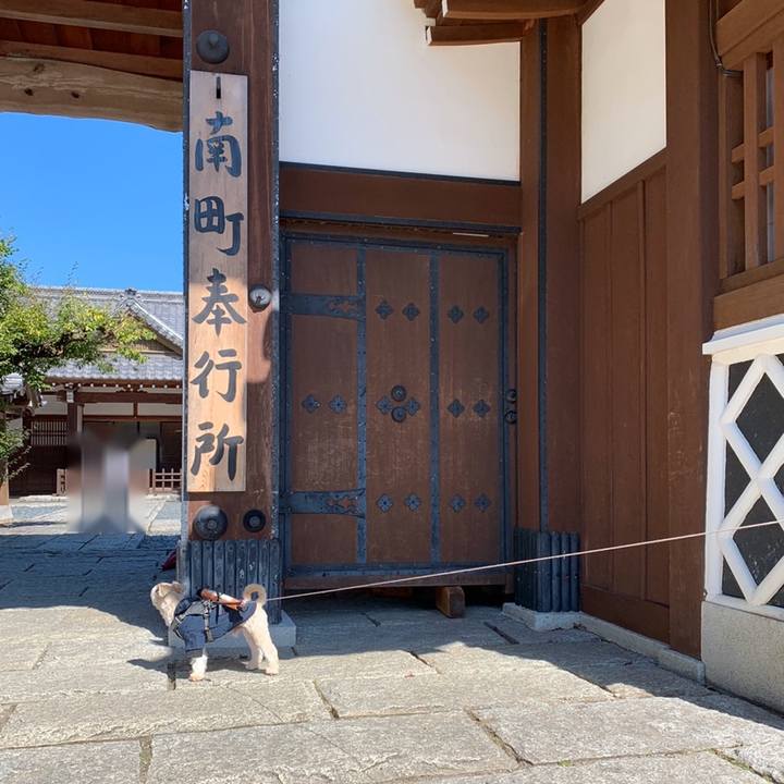 09dc9be3 7b1d 4298 8a7e e672758631ab 1571797944589