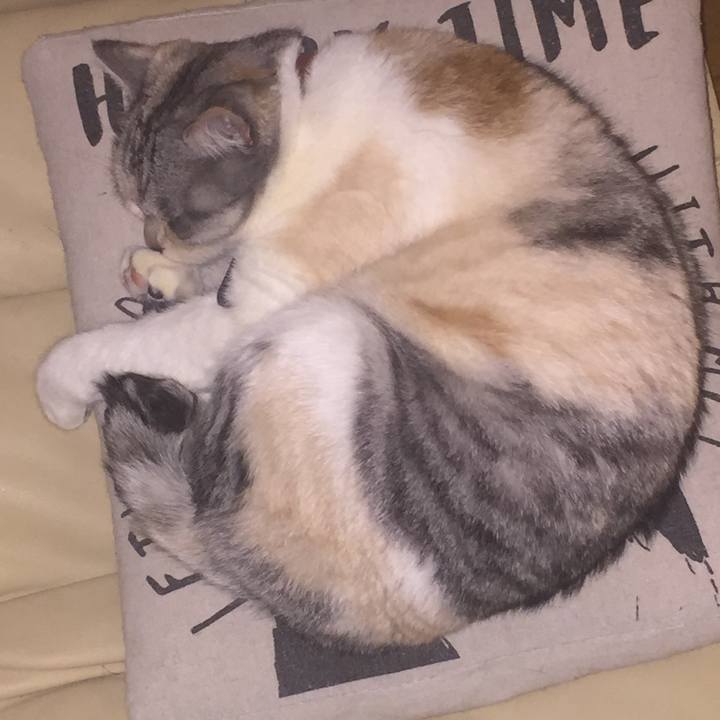 09dce0cf 547f 46ff bcdc 86fd3f9d4305 1548948227906