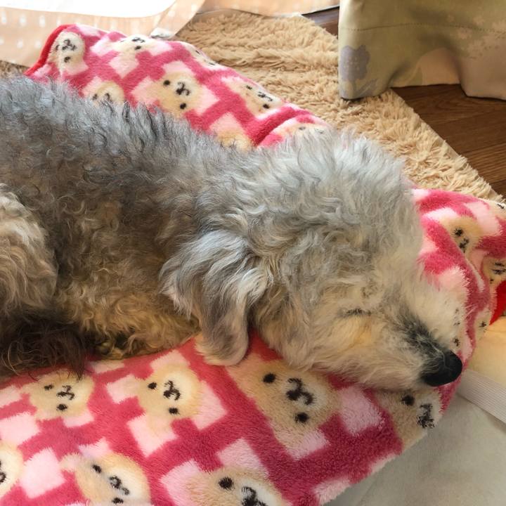 09dcf9e1 27b0 40eb 8c8a 439b73ada051 1644364783760