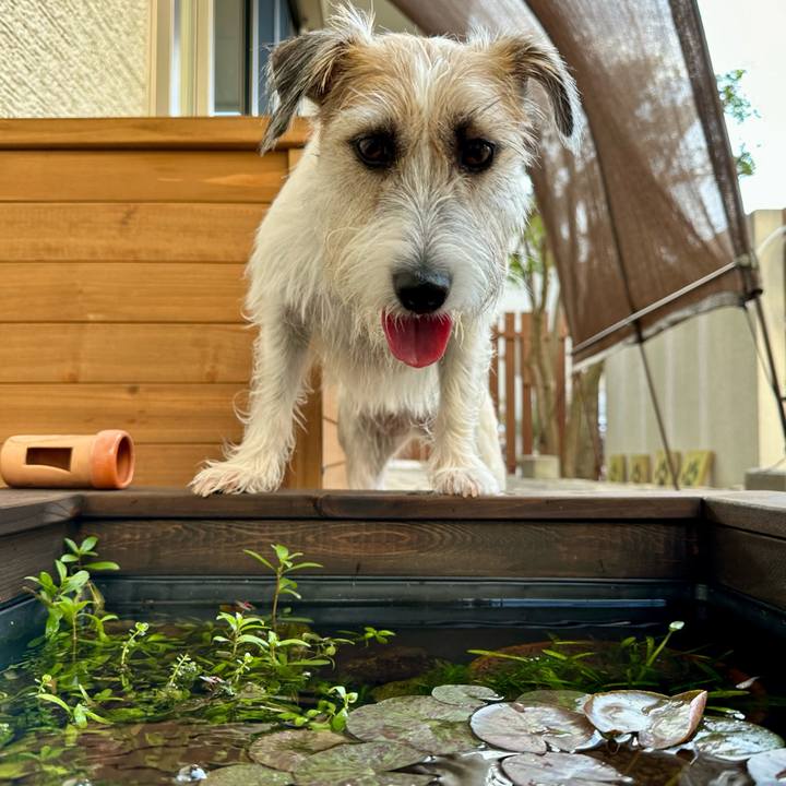 09dd0461 986c 4b5d b777 bf2babe74e28 1694521558488