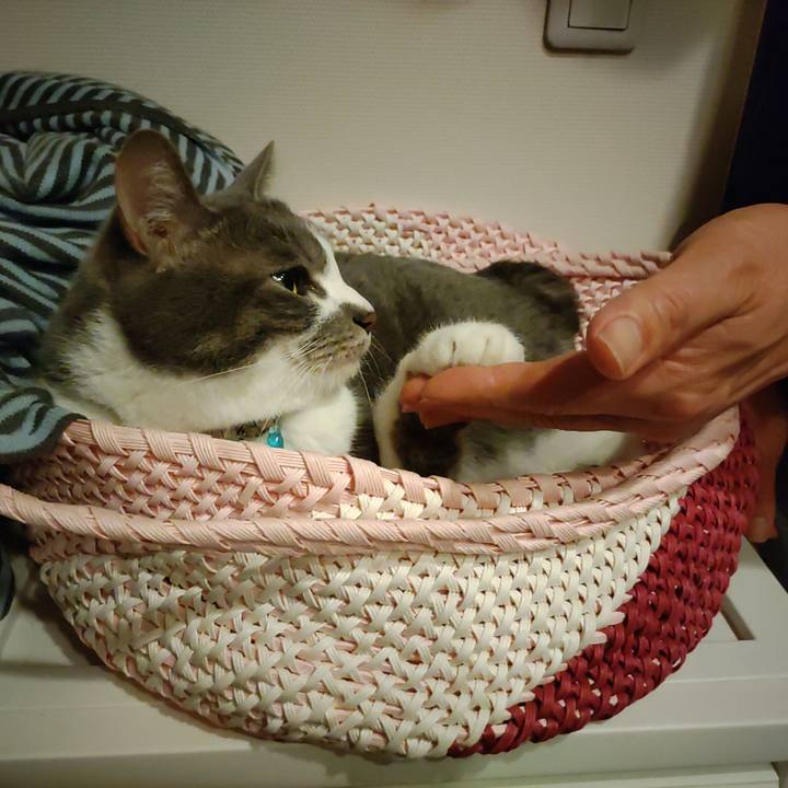 09dd39e8 dfc4 4982 877f 87aa229d2f21 1711883960124