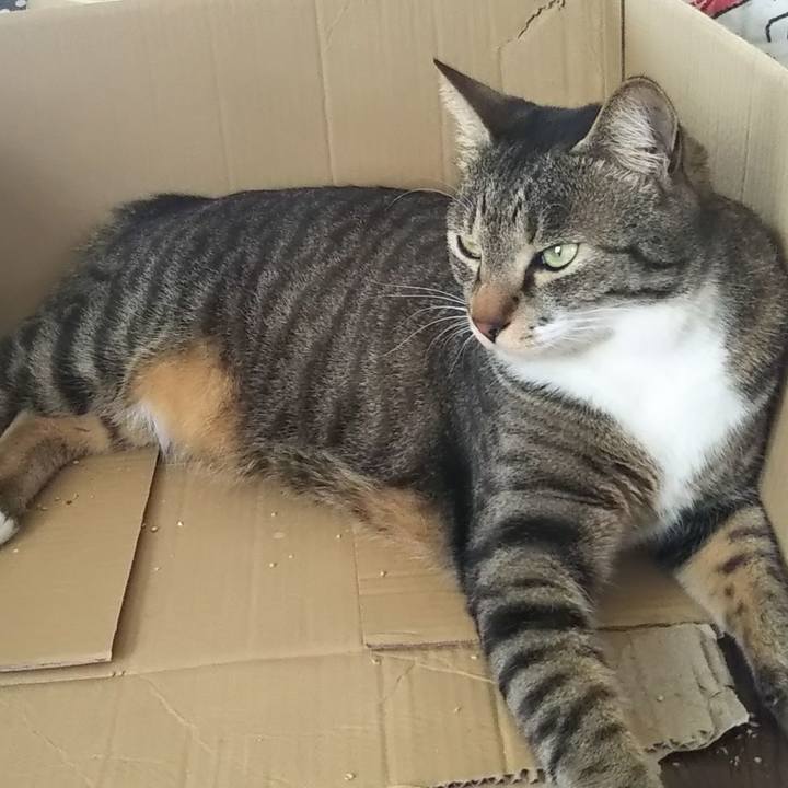 09dd6e10 ca76 46d7 af2b 9873cae061cc 1607057634321