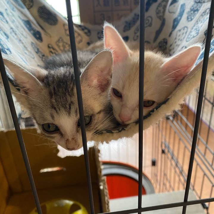 09ddcdc8 d7da 4a18 95e4 9c89848e577c 1718863108251