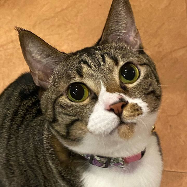 09ddcf56 b762 4a1d a3e6 5b521a452be7 1707132252086