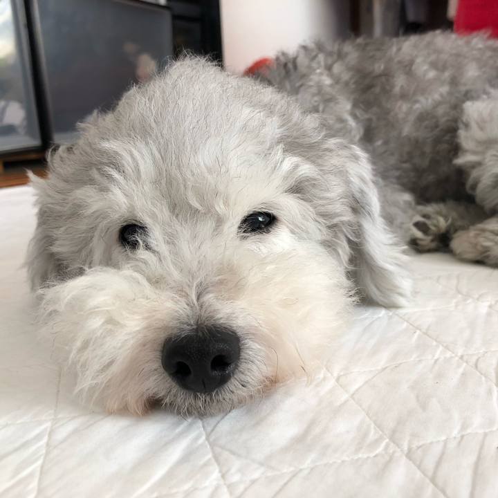 09ddd837 0fd6 4602 8cfb 1c0fe69d77f2 1538977479459