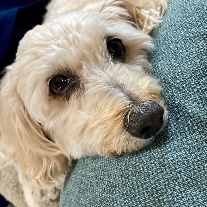 09dde44d 2790 4ccd 8f5a 5531e78c0960 1765688706317