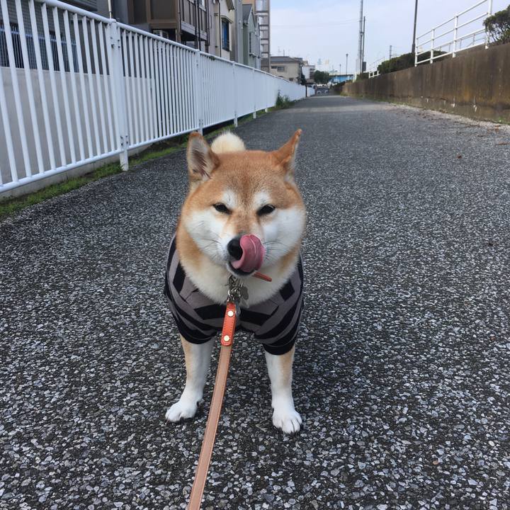 09ddedef 932c 4116 82c6 dca3a3e76650 1539825567003