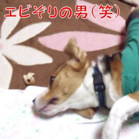 09de33f2 0c73 491e a0bd 7a19b854e1e7 1712536535335