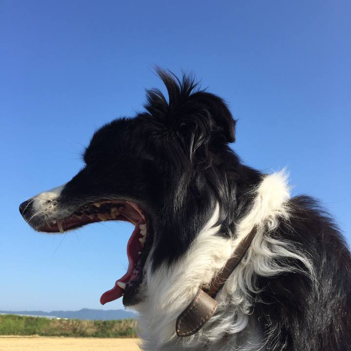 09de396b 3270 4c7a 8bc4 5e184055047c 1560377998118