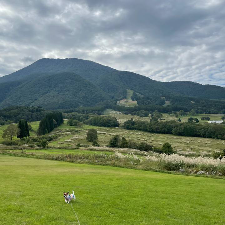 09de4952 0c0d 42fb 81d1 25e813784f8a 1632892786909