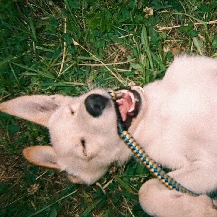 09de8b20 9138 4e81 9d54 75df12c002c9 1539521077530