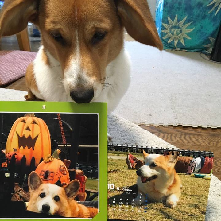 09dea556 b30d 47bc 94fd e98e18fc67f1 1601511307748