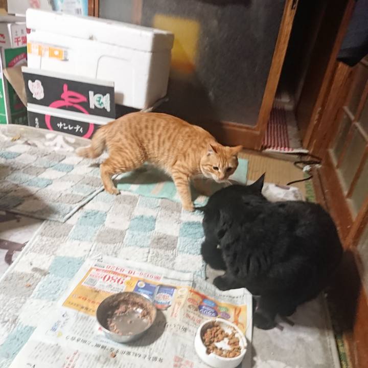 09decff7 0d58 4d6f aedb 131cc45bce49 1647344819697