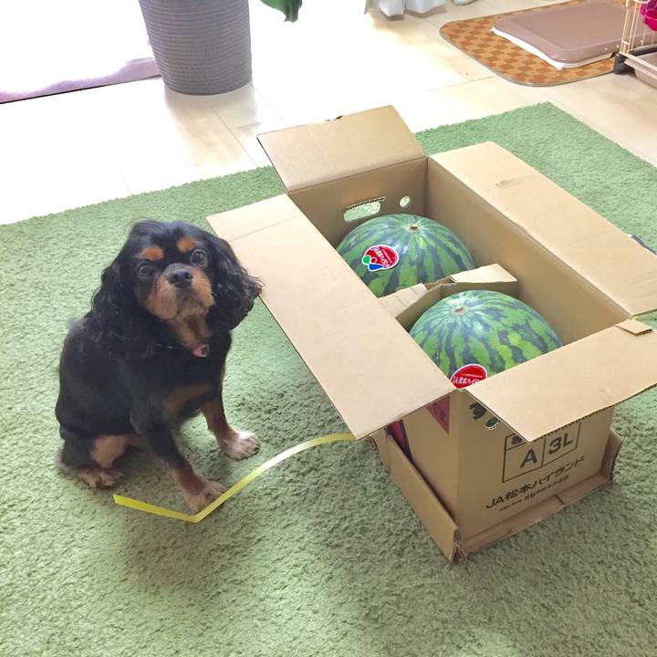 09ded13d 16e6 4674 baf3 e2cf2e56f5a5 1509250852452