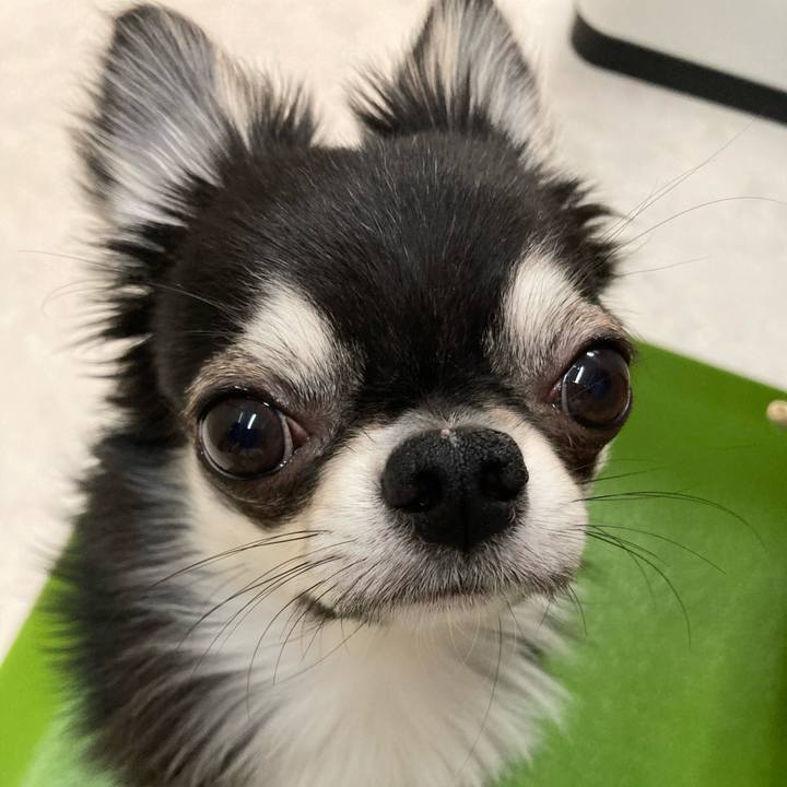 09df21fa cd42 4c46 861d 7527af166d1c 1621142646361