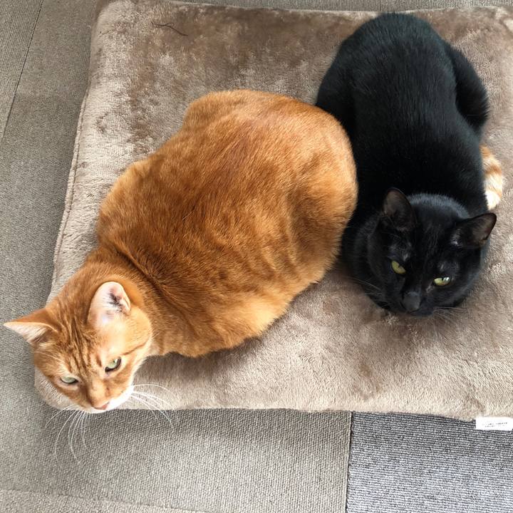 09df27eb cc5a 47b2 a7c1 0dba67943ed2 1671848510986