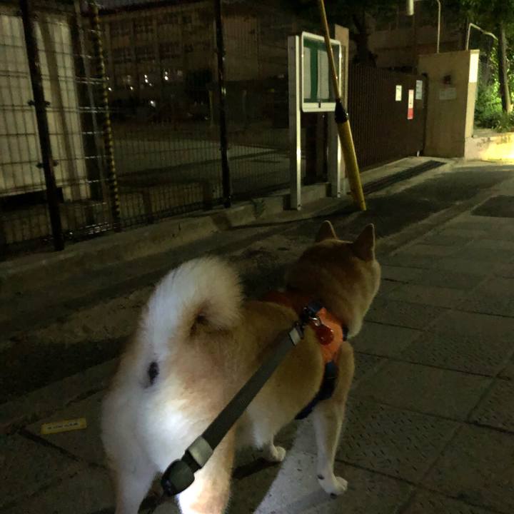 09df33d7 124b 47c3 ab8e 160bb51a99c0 1565013362135