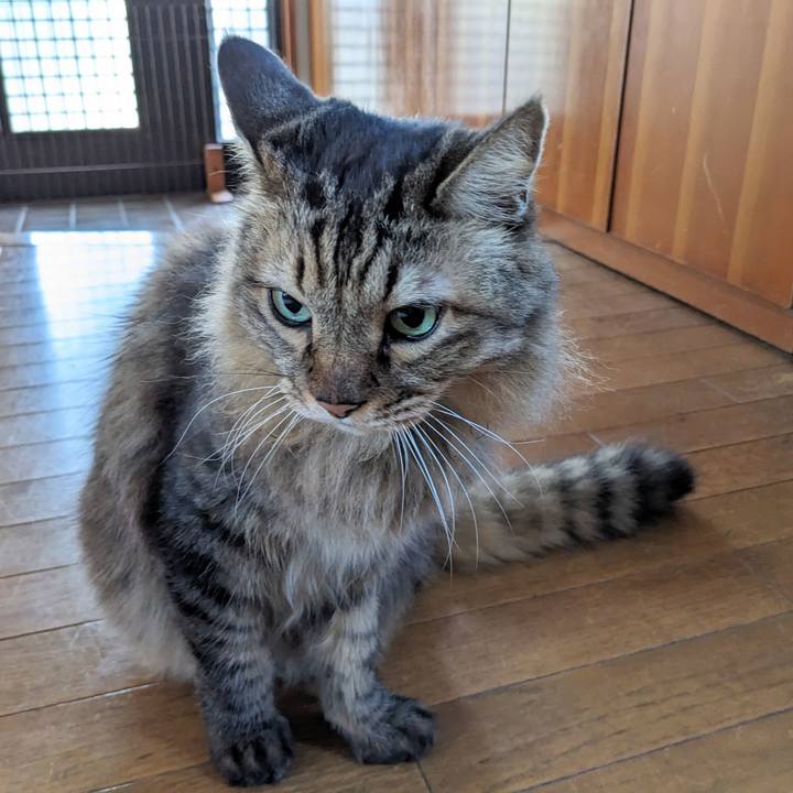 09df584c b911 468f 9a6f 3fd29273b0c6 1760655507682