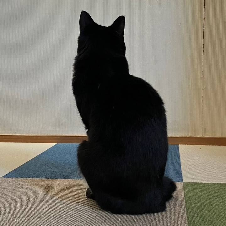 09df6c6d c4bd 4261 b85d f717197f5dbf 1699240652330