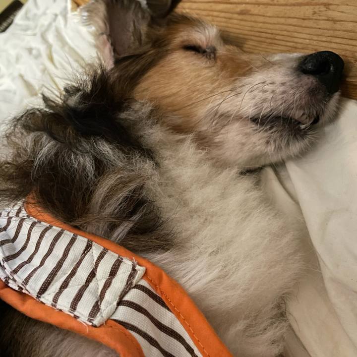 09df6cbe cd1b 4a0d 87e5 f8710a20b236 1655365616098