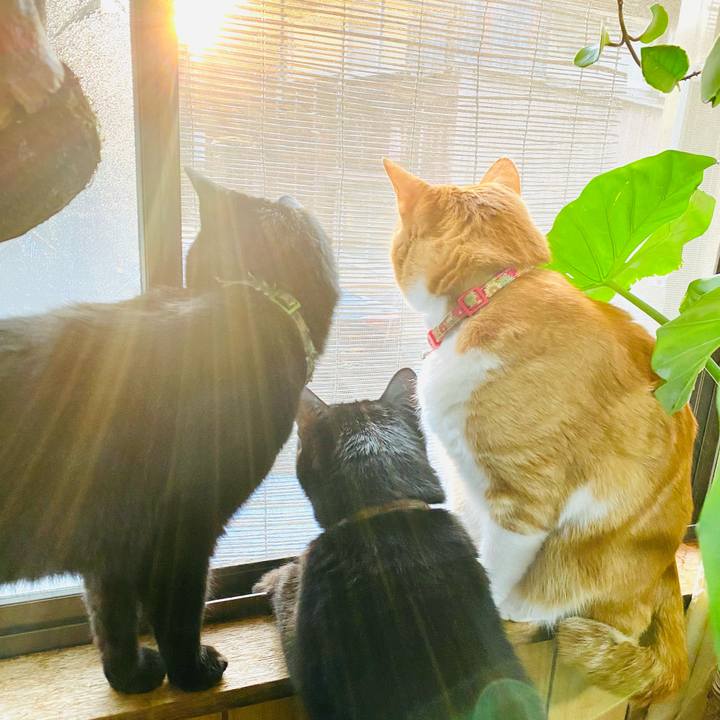 09df70b5 890e 45ce 8e7e 7a6804380295 1742633721915