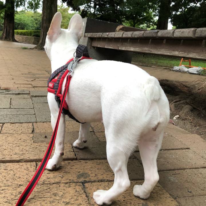 09dfba0d dcf5 477d 8743 0a0ea56a79db 1535851376321